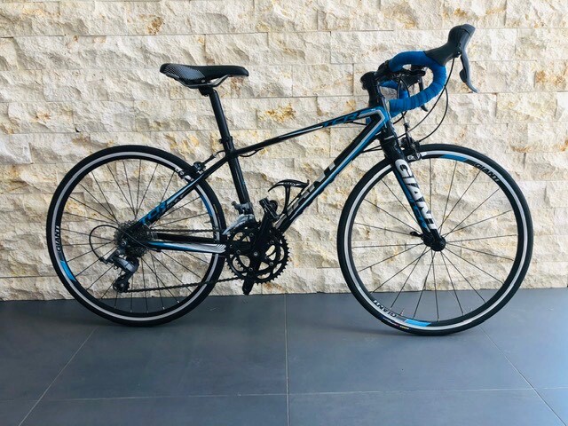 giant tcr 24 inch